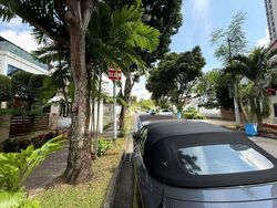 Jalan Kayu Estate (D28), Semi-Detached #503877451